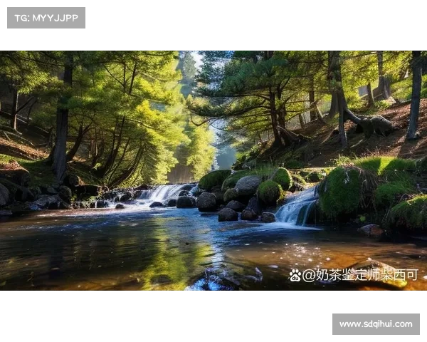 探索永歌森林中的自然奥秘与绿意之旅揭开生态的神秘面纱 探索永歌森林中的自然奥秘与绿意之旅揭开生态的神秘面纱