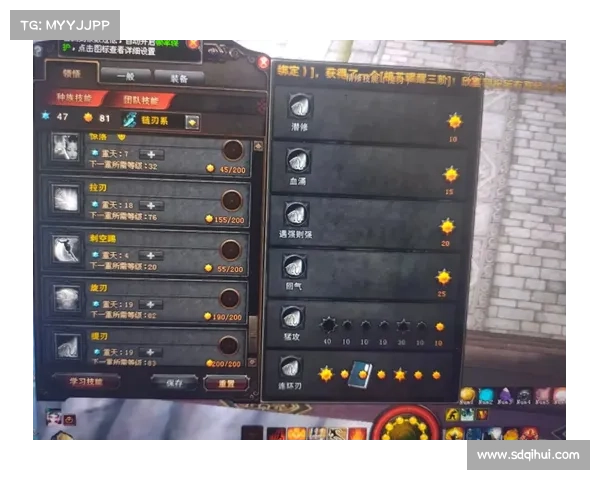 斗战神龙女刺客加点技巧解析提升战力的必备指南