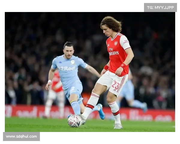 大卫路易斯球场位置分析及其战术价值研究 大卫路易斯球场位置分析及其战术价值研究