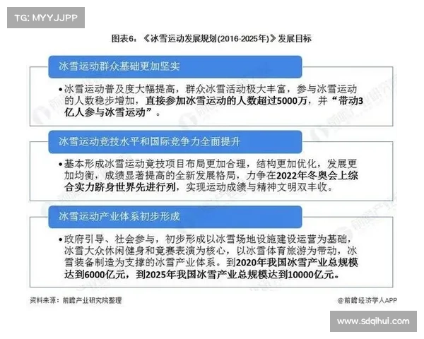 全面解析影响澳洲杯整体竞技水平表现的六大关键决定性核心因素群
