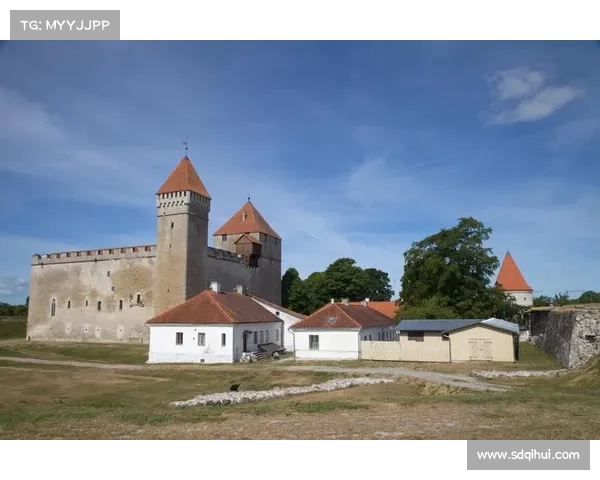 海瑟尔事件对多支球队历史互动关系及深远影响的全景化综合探析